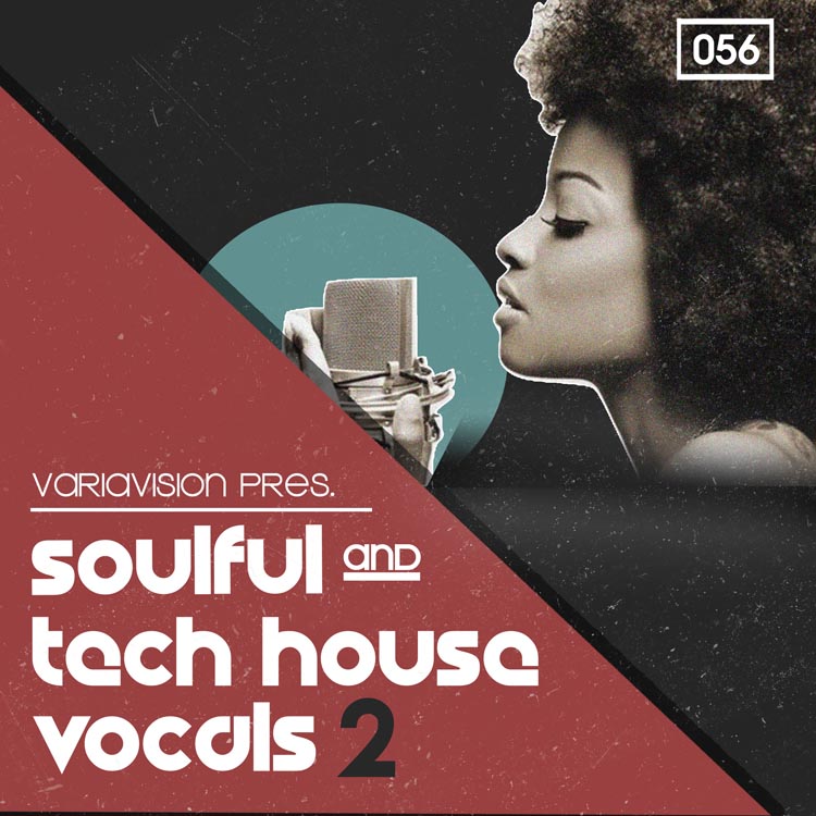 Bingoshakerz - Soulful & Tech House Vocals 2 Sample Packs Software GUI Artwork