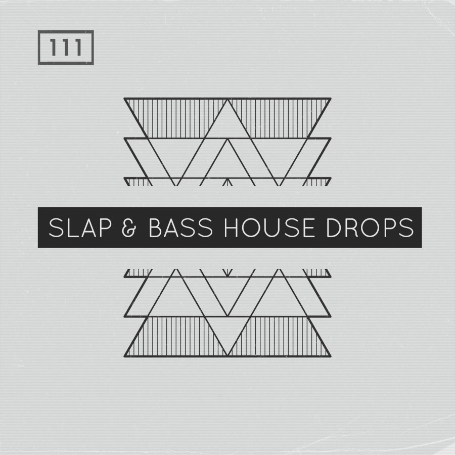 Bingoshakerz - Slap & Bass House Drops Sample Packs Software GUI Artwork