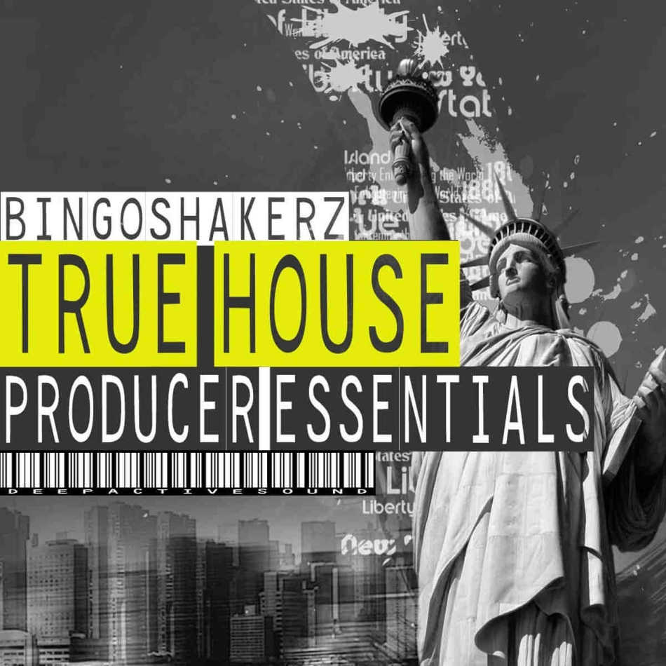 Bingoshakerz - True House: Producer Essentials Sample Packs Software GUI Artwork