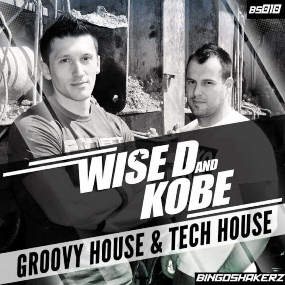 Bingoshakerz - Wise D & Kobe: Groovy House & Tech House Sample Packs Software GUI Artwork