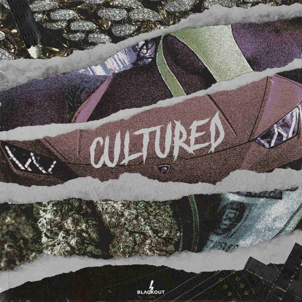 Blvckout Kits - Cultured Sample Packs Software GUI Artwork
