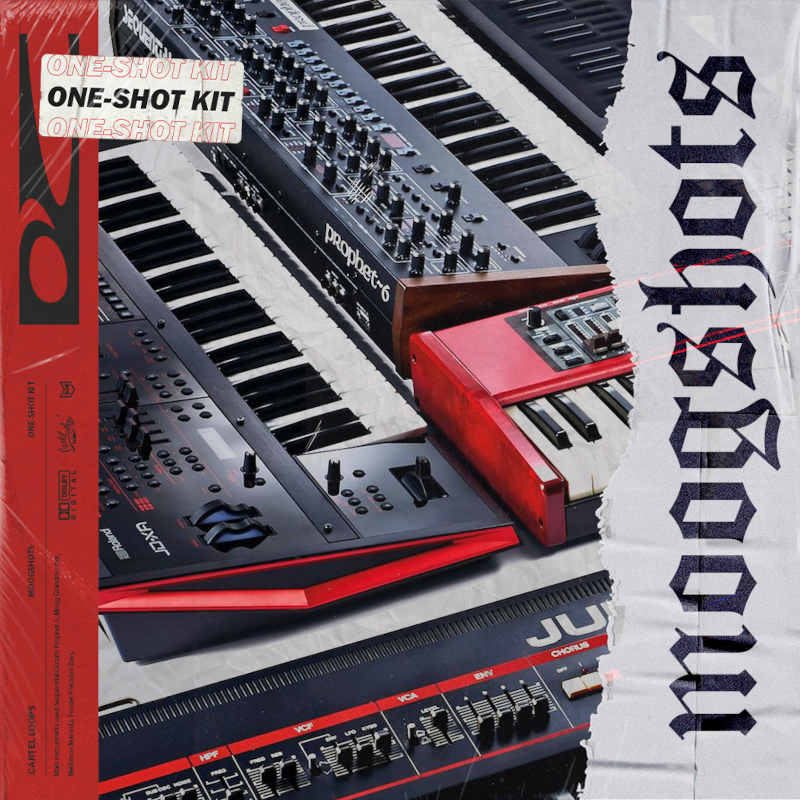Moog Shots