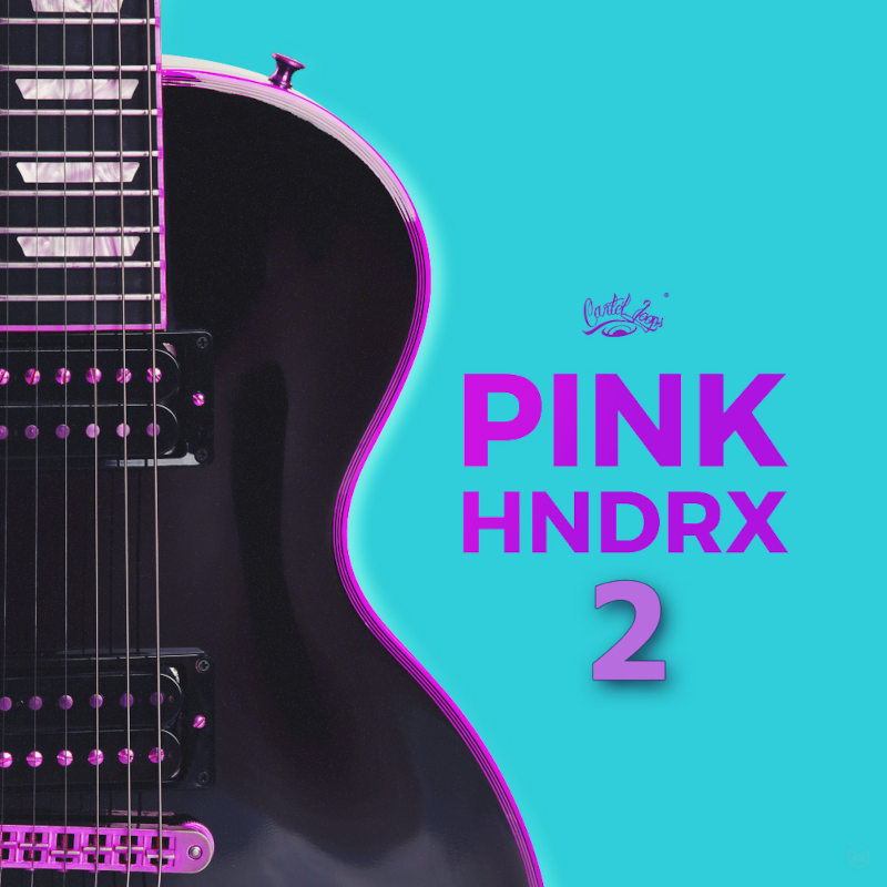 Cartel Loops - Pink Hndrx 2 Sample Packs Software GUI Artwork