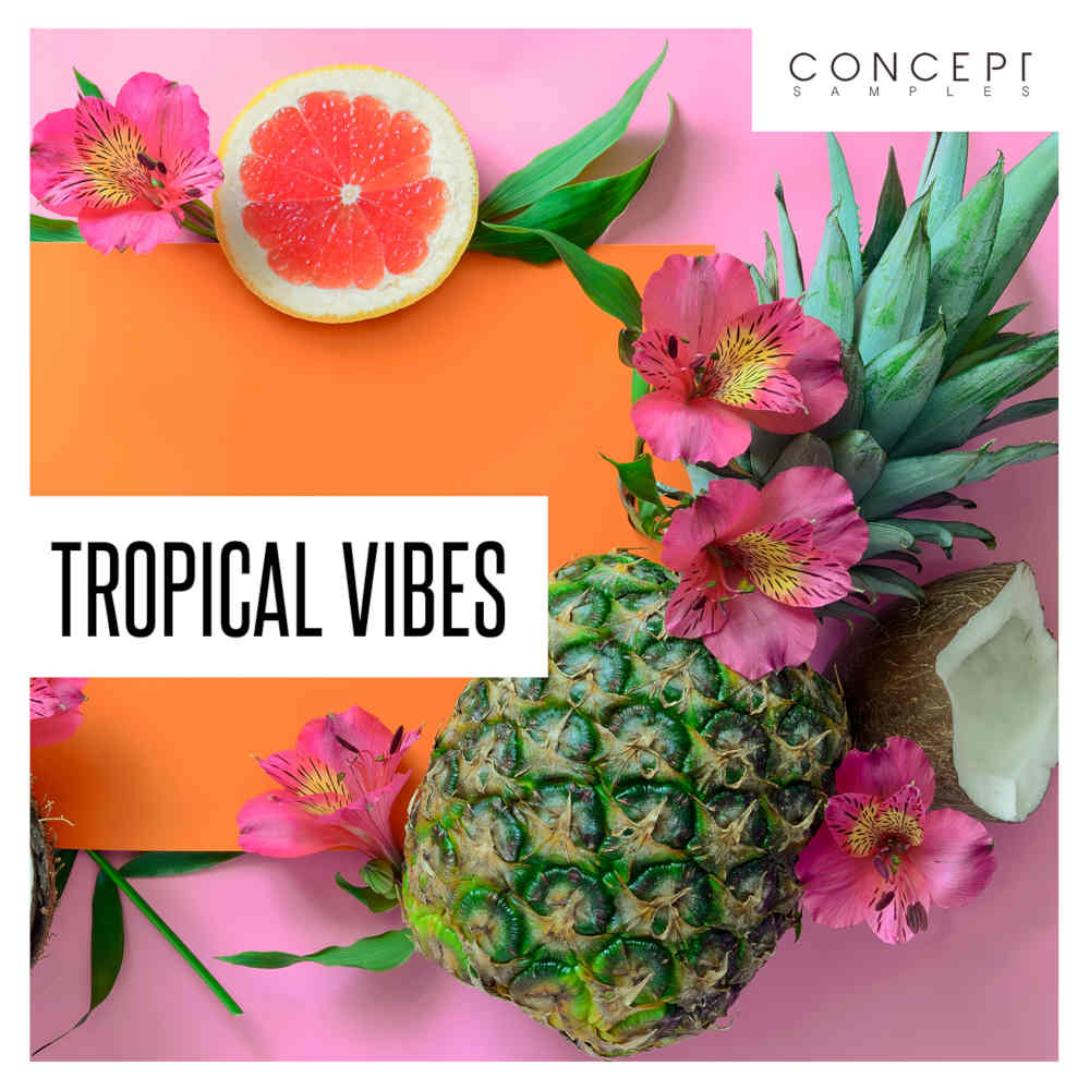 Concept Samples - Tropical Vibes Sample Packs Software GUI Artwork
