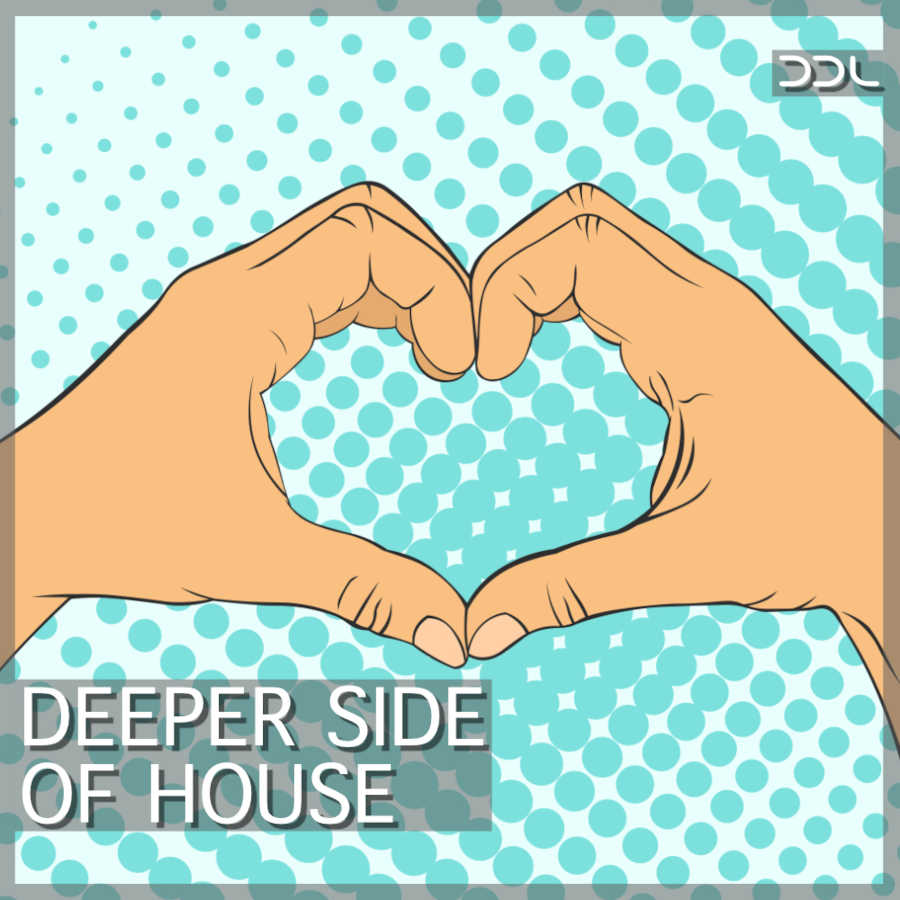 Deep Data Loops - Deeper Side Of House Sample Packs Software GUI Artwork