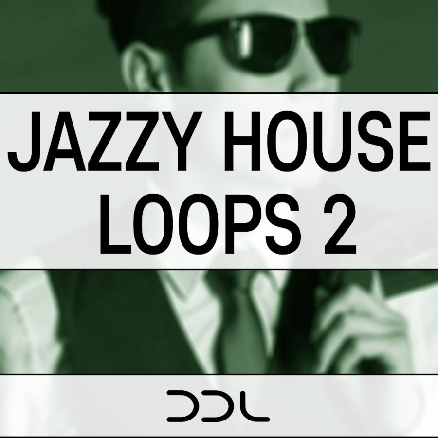 Deep Data Loops - Jazzy House Loops 2 Sample Packs Software GUI Artwork