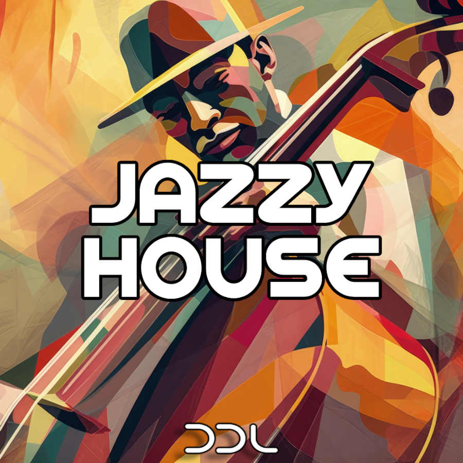 Deep Data Loops - Jazzy House Sample Packs Software GUI Artwork