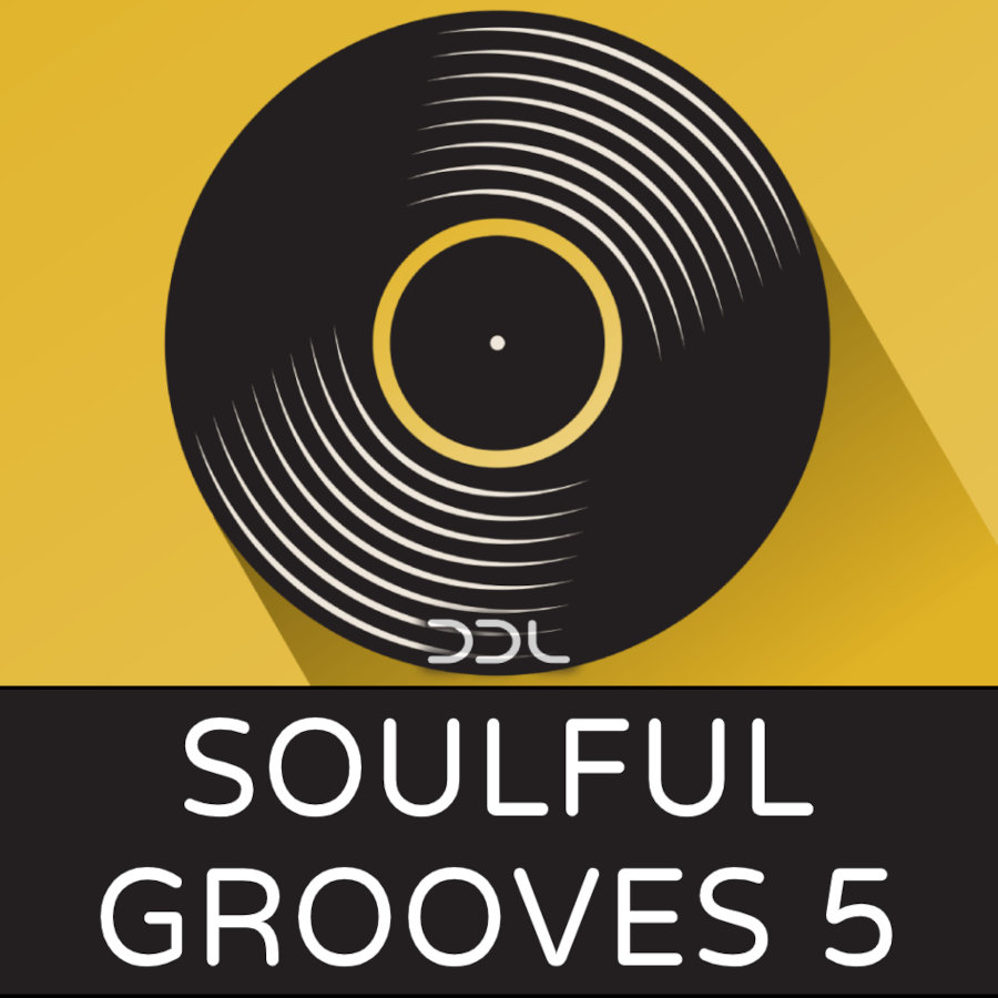 Deep Data Loops - Soulful Grooves 5 Sample Packs Software GUI Artwork