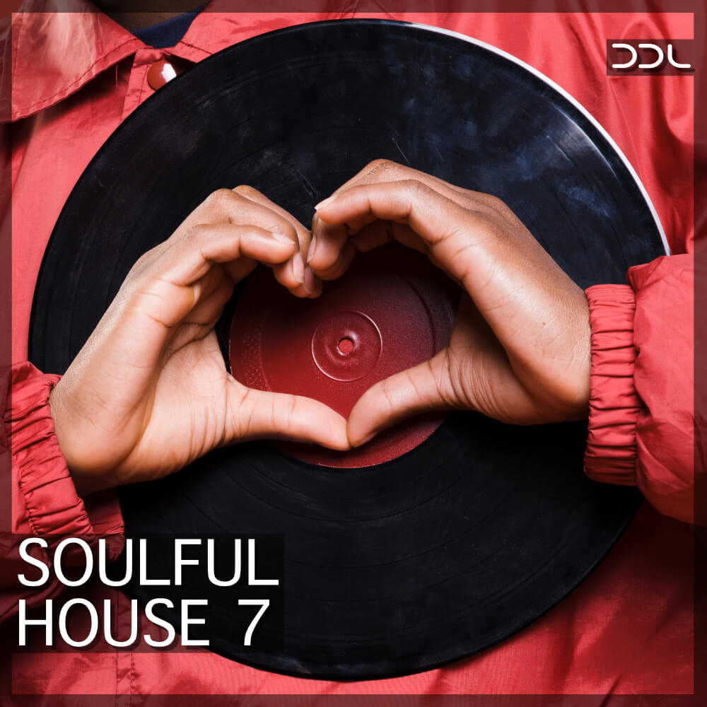 Deep Data Loops - Soulful House 7 Sample Packs Software GUI Artwork