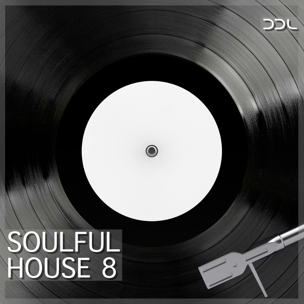 Deep Data Loops - Soulful House 8 Sample Packs Software GUI Artwork