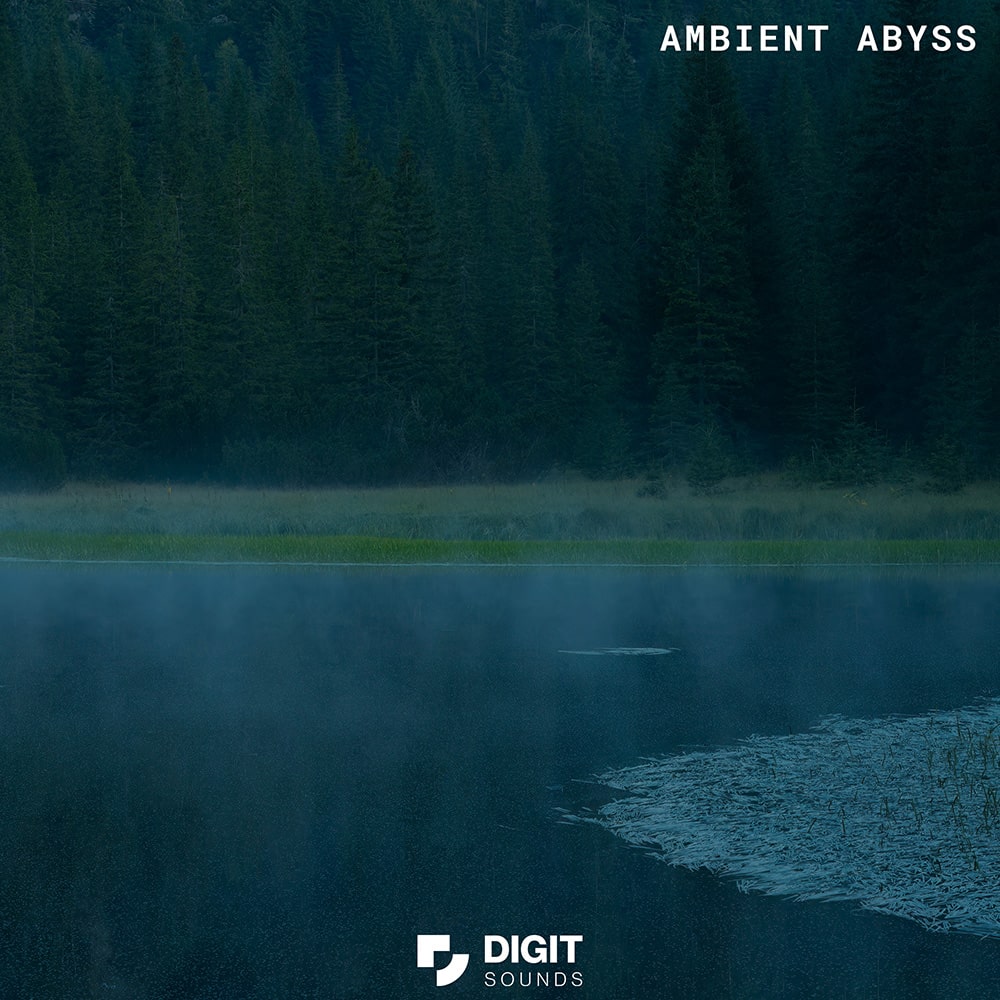 Digit Sounds - Ambient Abyss Sample Packs Software GUI Artwork
