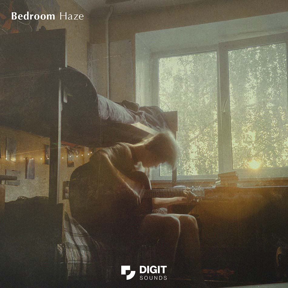 Digit Sounds - Bedroom Haze Sample Packs Software GUI Artwork