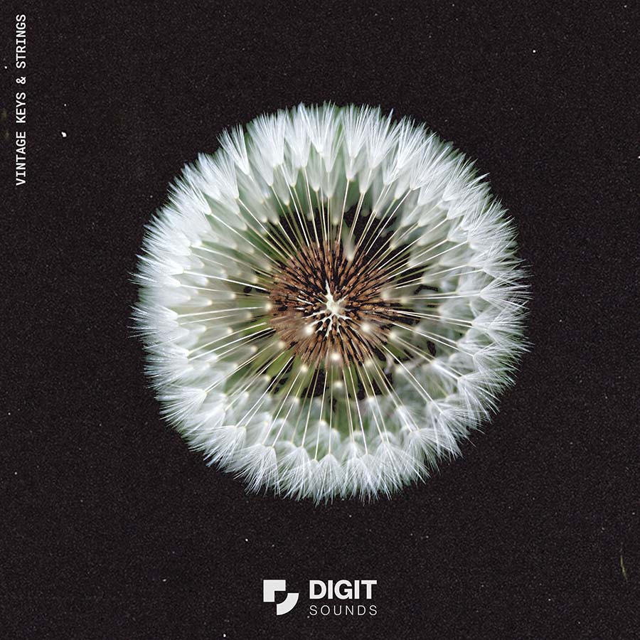 Digit Sounds - Vintage Keys & Strings Sample Packs Software GUI Artwork