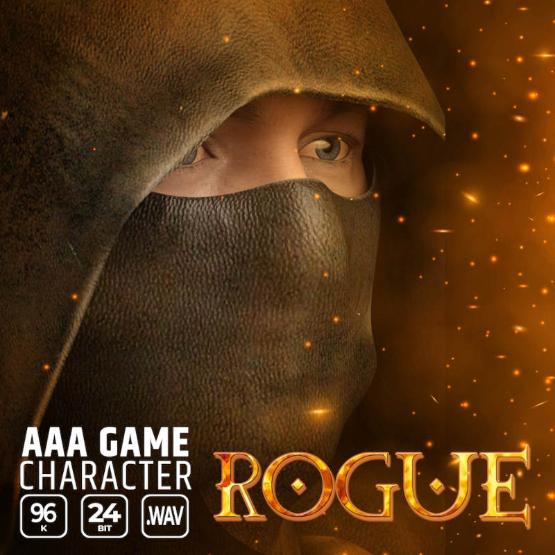 Epic Stock Media - AAA Game Character Rogue Sample Packs Software GUI Artwork