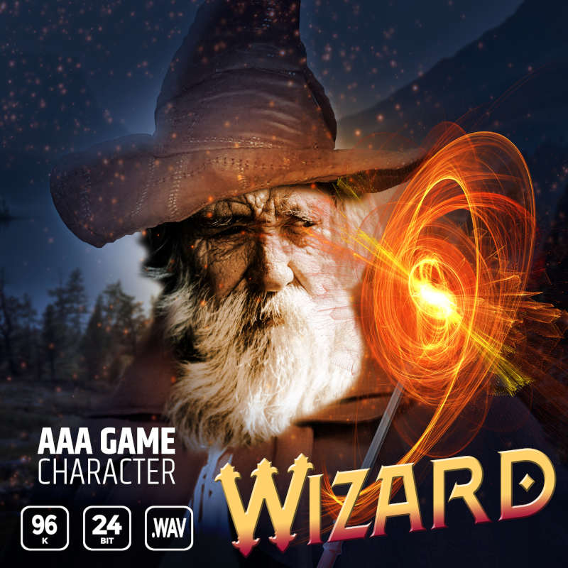 Epic Stock Media - AAA Game Character Wizard Sample Packs Software GUI Artwork