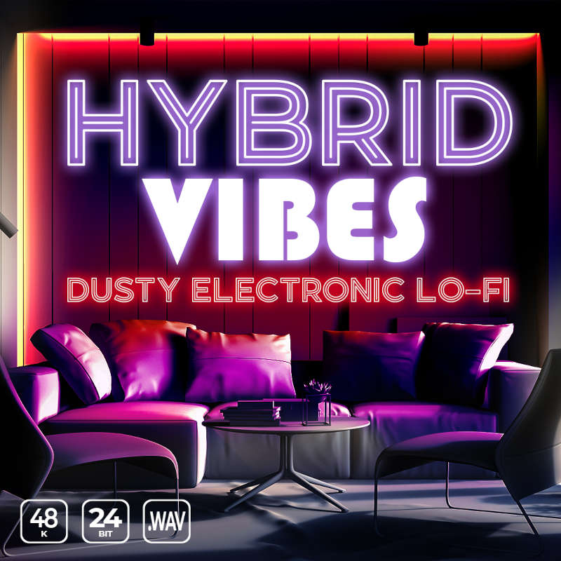 Epic Stock Media - Hybrid Vibes: Dusty Electronic Lo-Fi Sample Packs Software GUI Artwork
