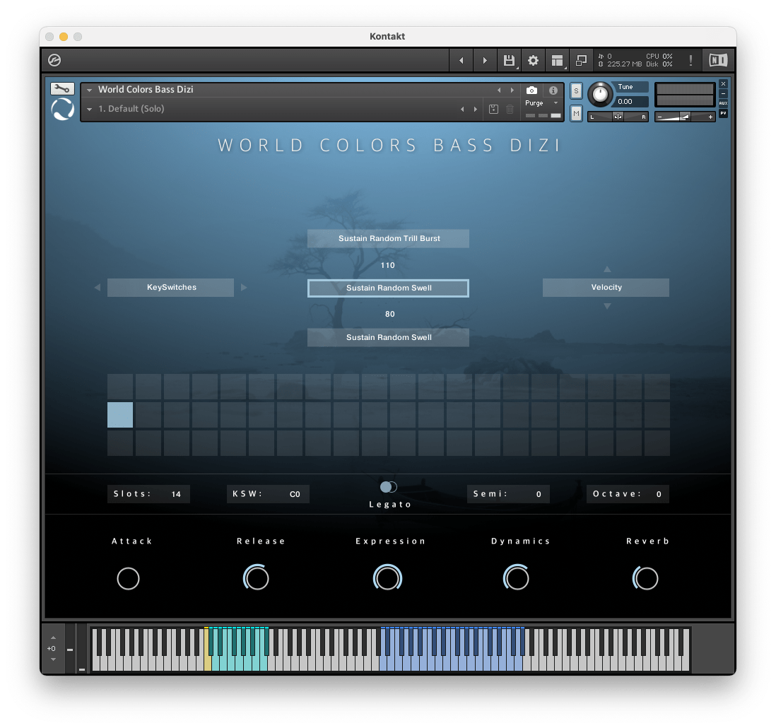 Evolution Series - World Colors: Bass Dizi Kontakt Instruments Software GUI Artwork