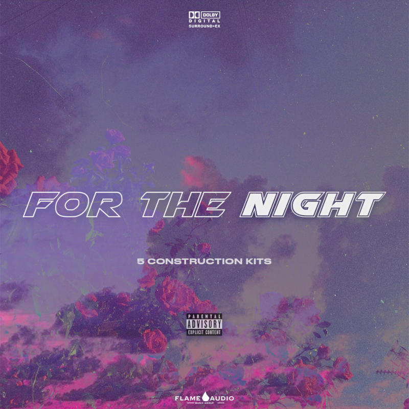 Flame Audio - For The Night Sample Packs Software GUI Artwork