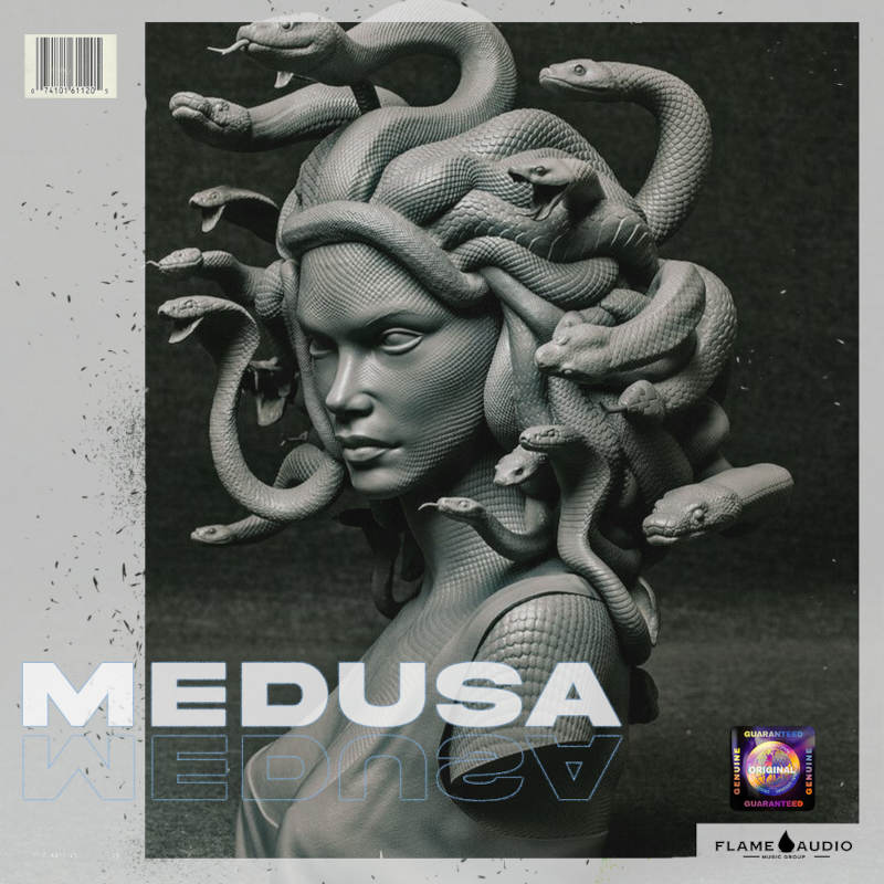 Flame Audio - Medusa Sample Packs Software GUI Artwork
