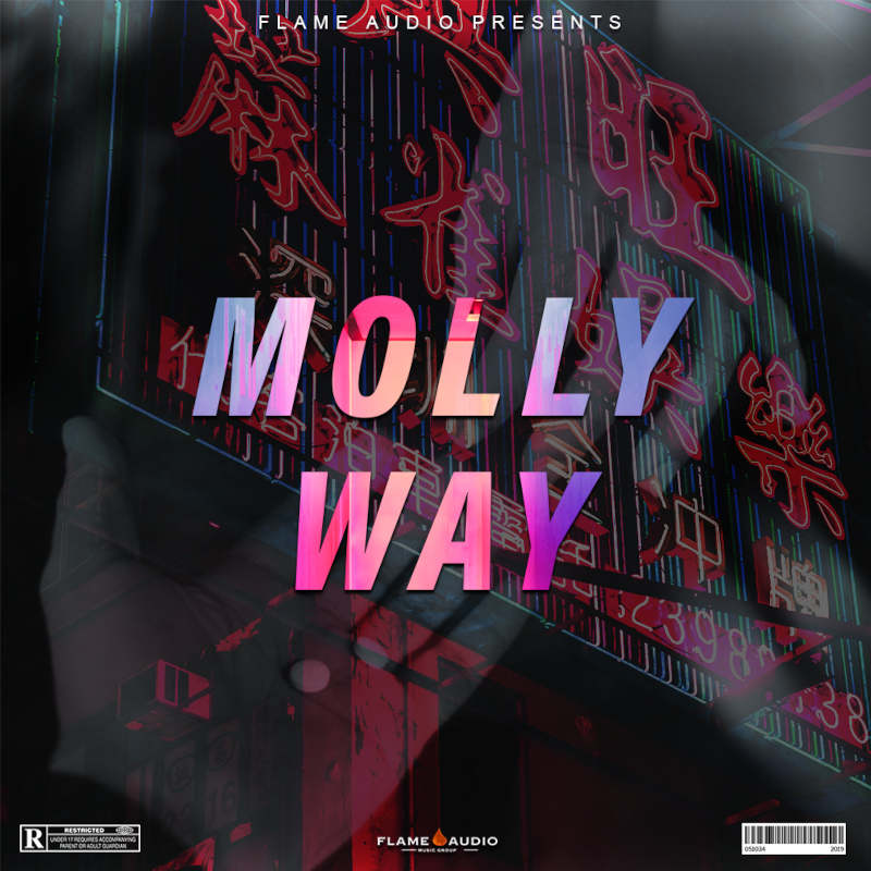 Flame Audio - Molly Way Sample Packs Software GUI Artwork