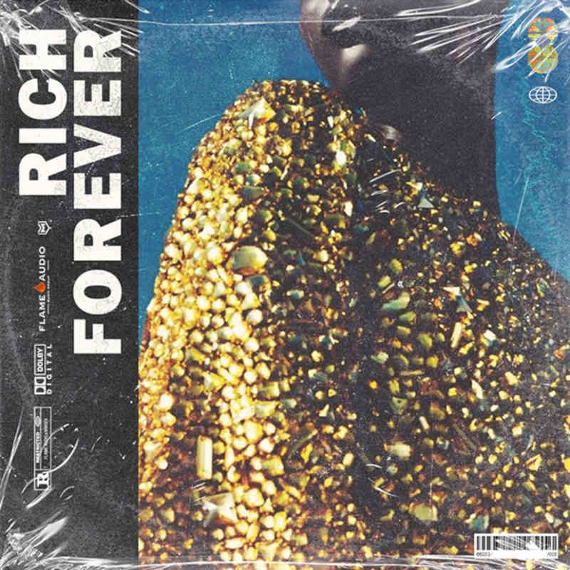 Flame Audio - Rich Forever Drumkit Sample Packs Software GUI Artwork