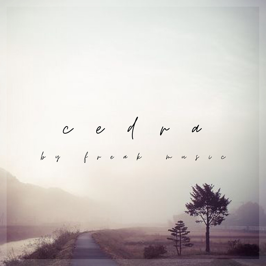 Cloudy Samples - Cedra Sample Packs Software GUI Artwork