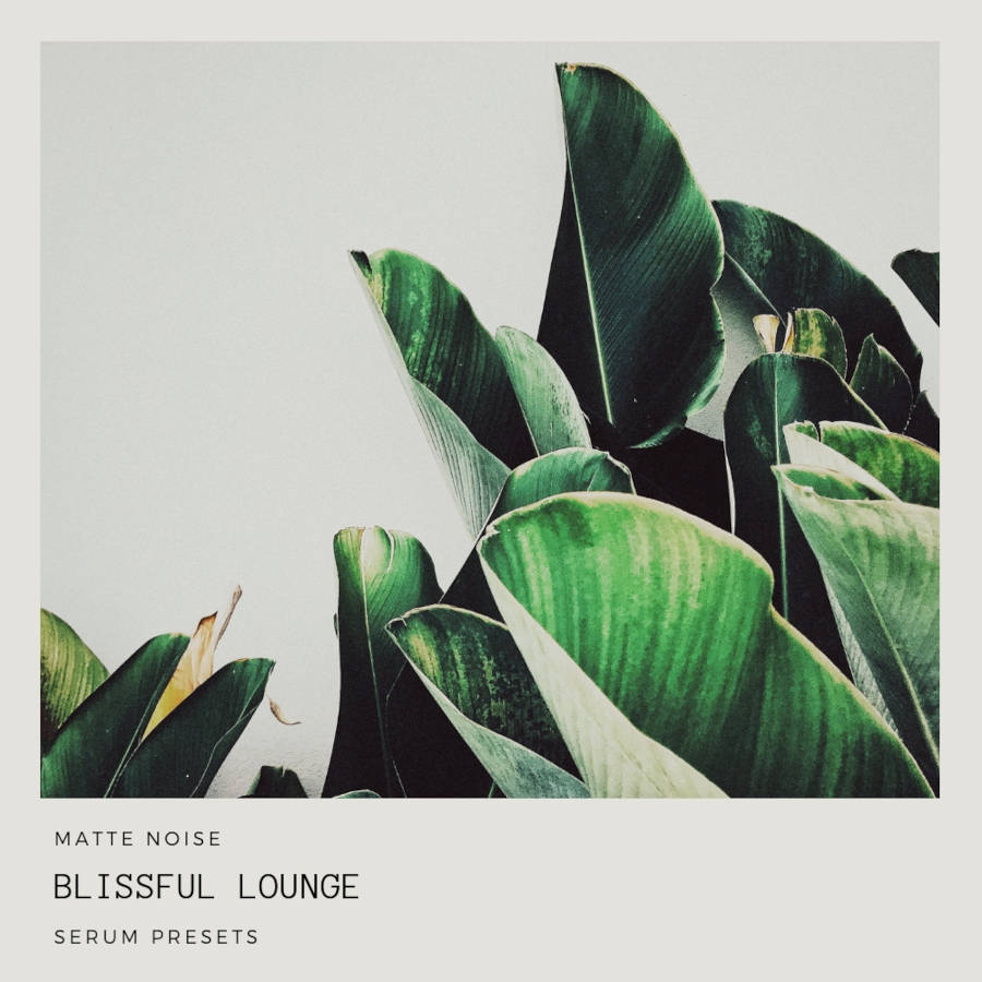 GOGOi - Blissful Lounge Presets Software GUI Artwork