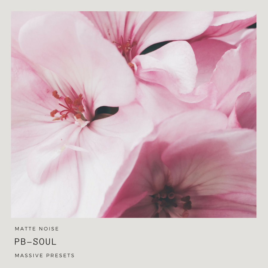 GOGOi - PB-Soul Presets Software GUI Artwork