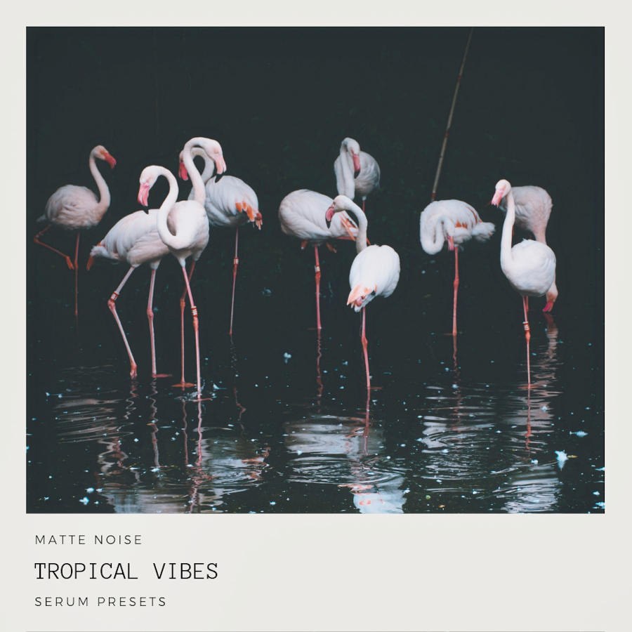 GOGOi - Tropical Vibes Presets Software GUI Artwork
