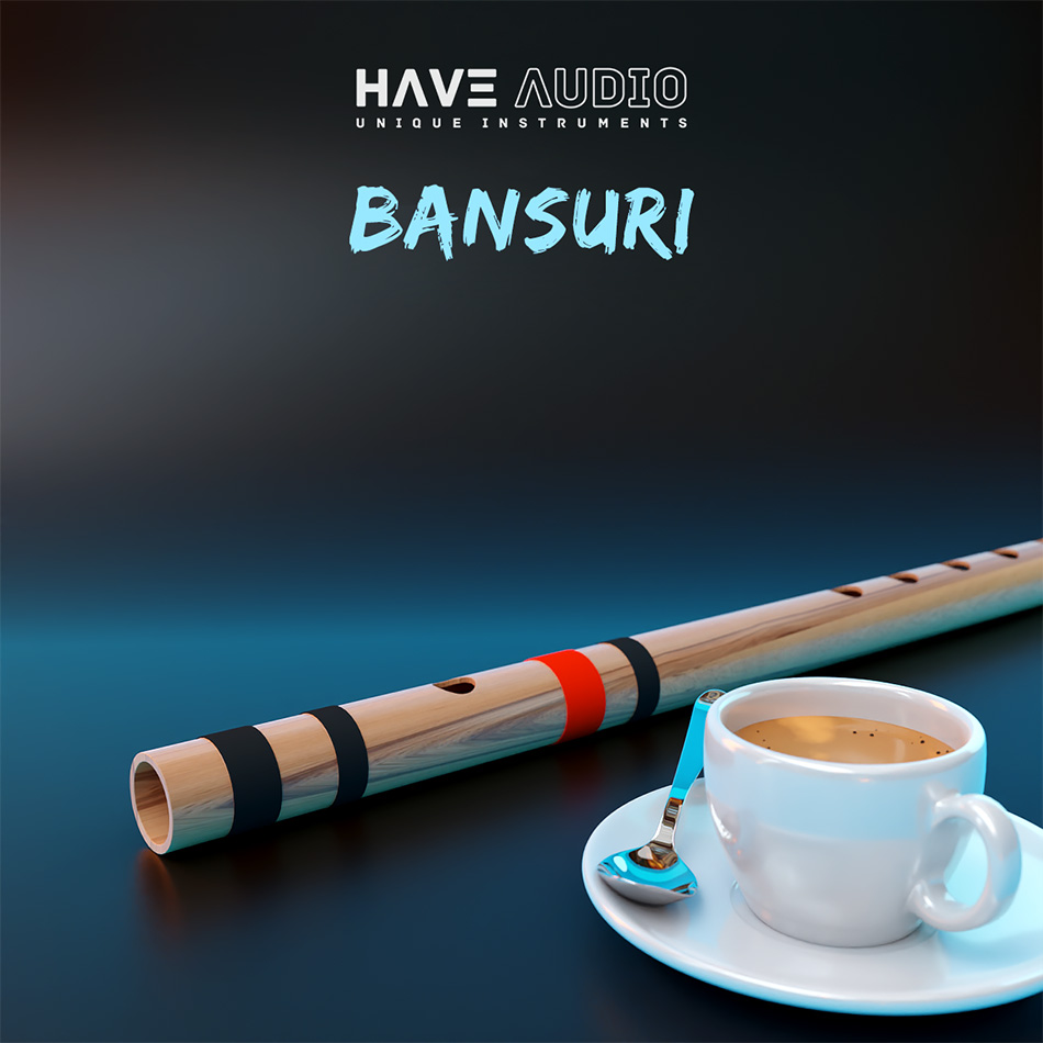 HAVE Audio - Bansuri Double Espresso Bundle Kontakt Instruments Software GUI Artwork