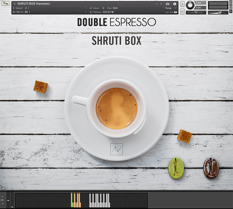 HAVE Audio - Shruti Box Bundle Screenshot 4