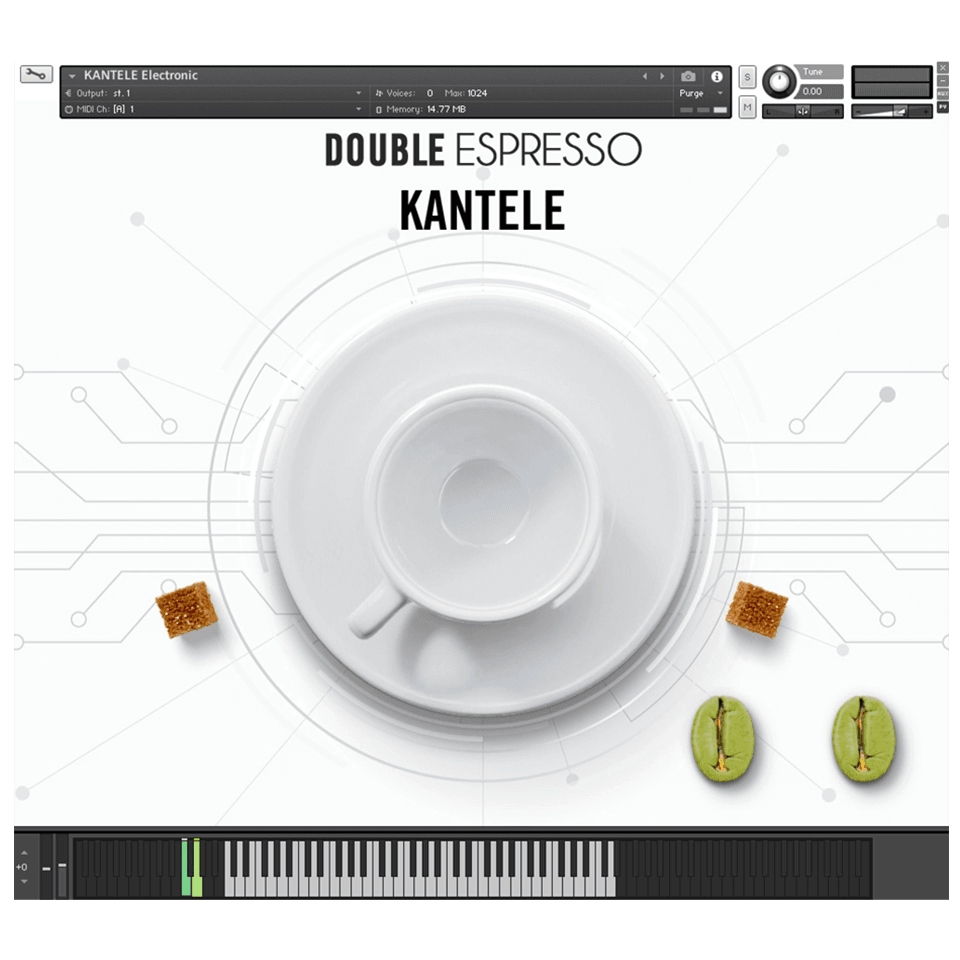 HAVE Audio - Kantele Bundle Kontakt Instruments Software GUI Artwork