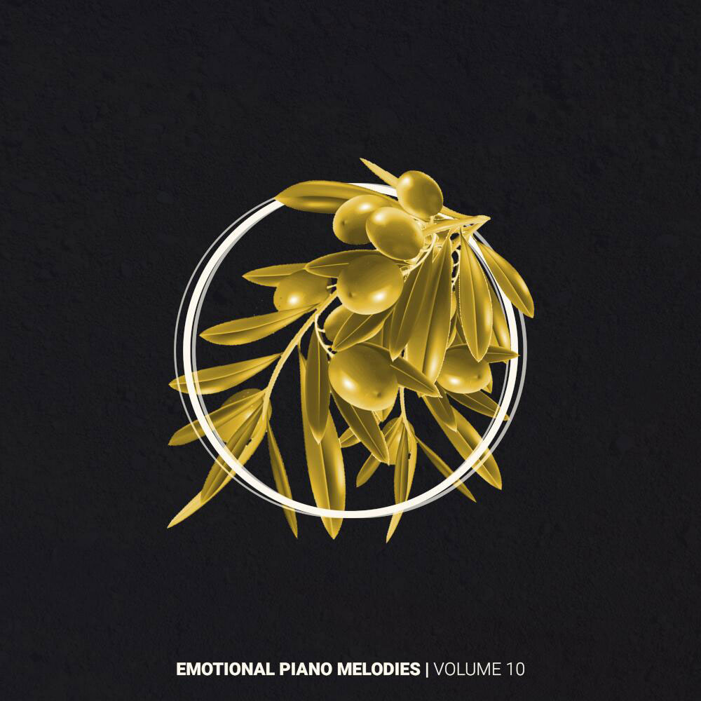 Helion Samples - Emotional Piano Melodies Volume 10 Sample Packs Software GUI Artwork