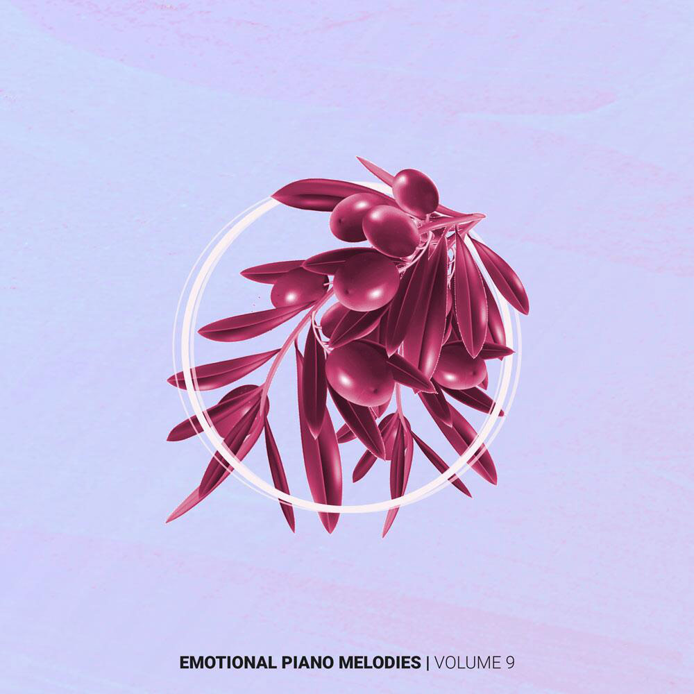 Helion Samples - Emotional Piano Melodies Volume 9 Sample Packs Software GUI Artwork