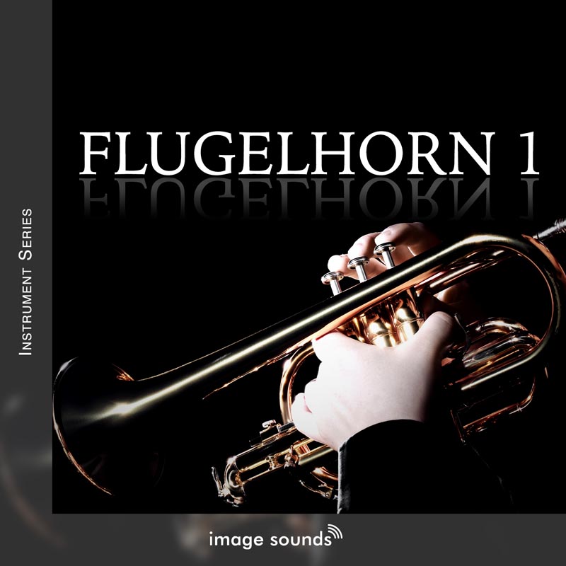 Flugelhorn 1