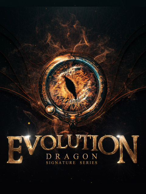 Keepforest - Evolution: Dragon Screenshot 2