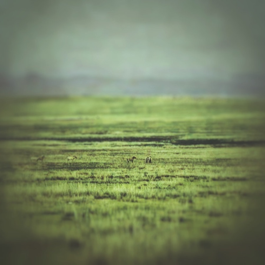 Klang - Freeze: Tranquil Meadow Kontakt Instruments Software GUI Artwork