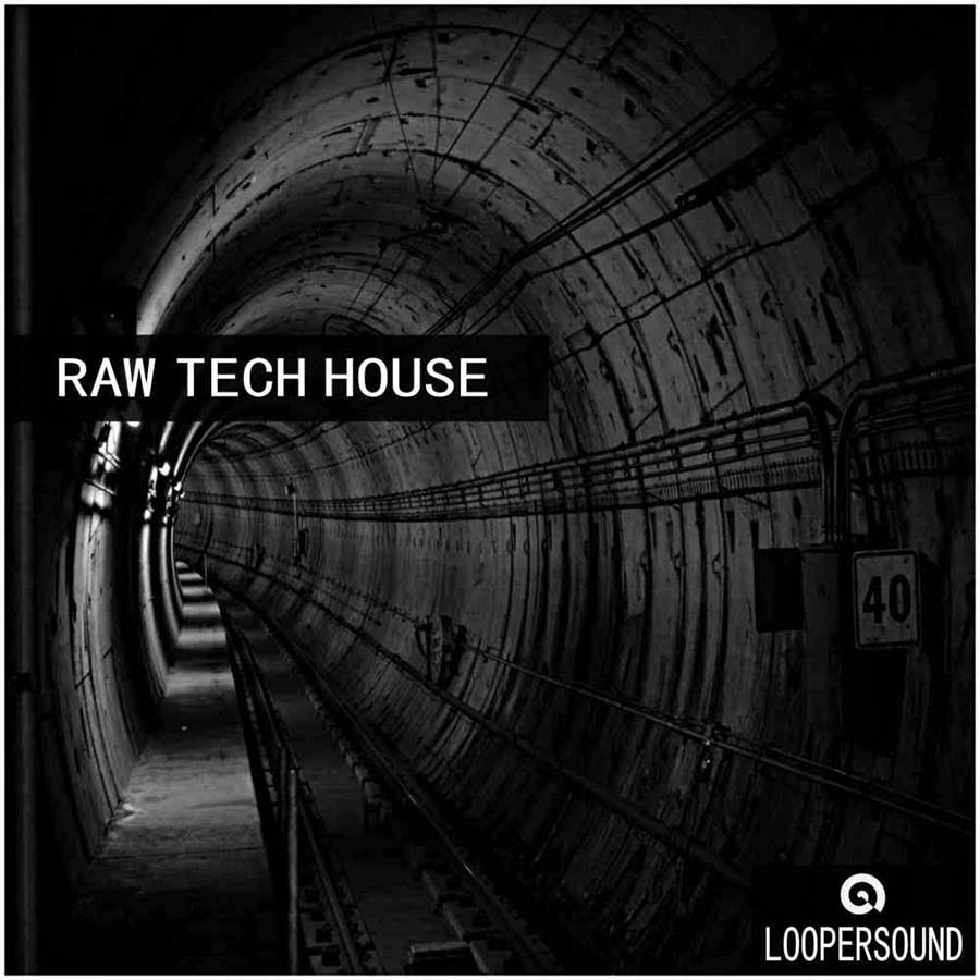Loopersound - Raw Tech House Sample Packs Software GUI Artwork