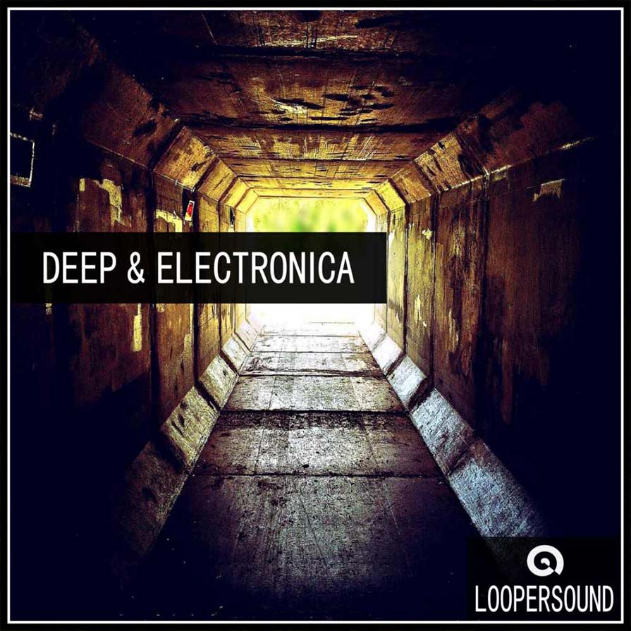 Loopersound - Deep and Electronica Sample Packs Software GUI Artwork