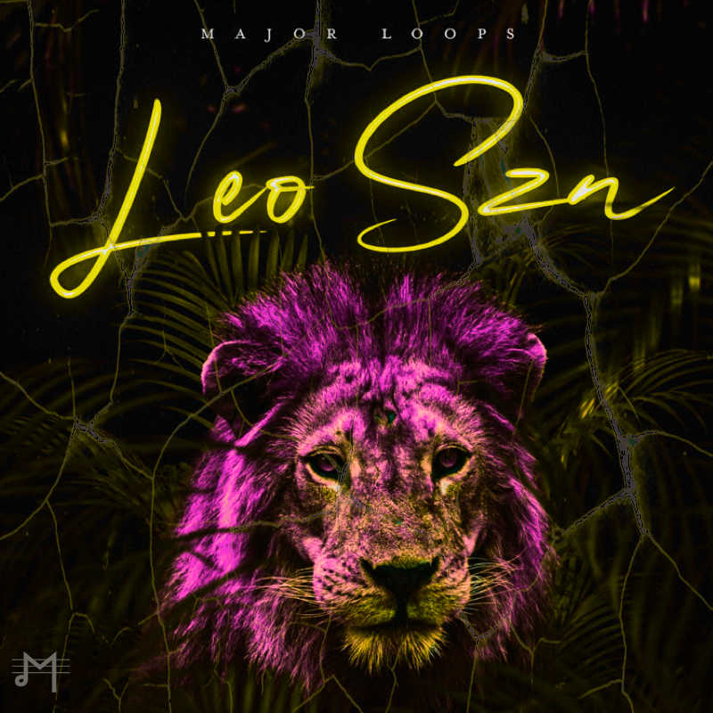 Major Loops - Leo Szn Sample Packs Software GUI Artwork