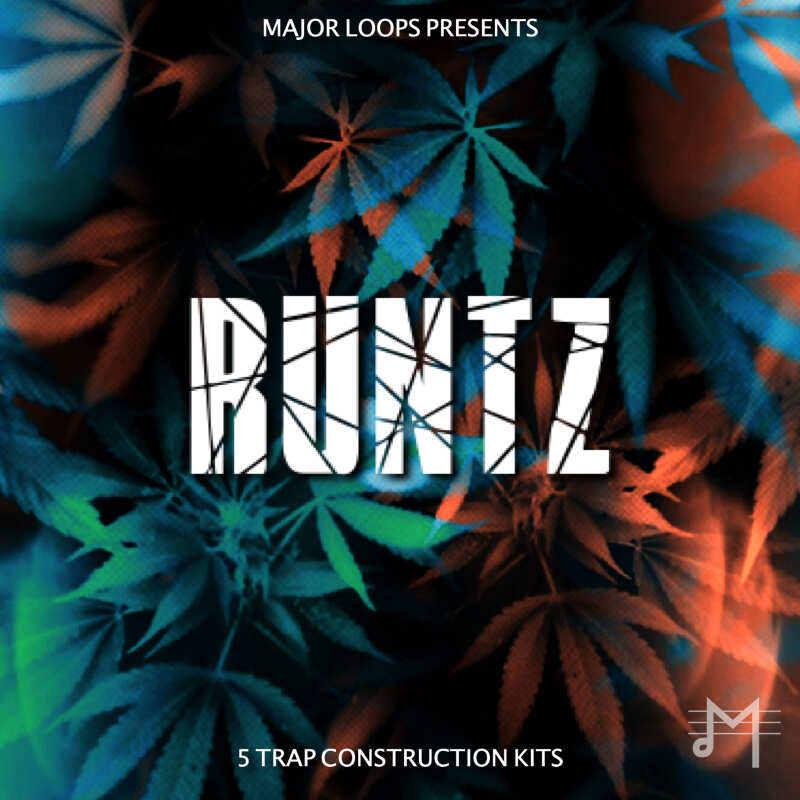 Major Loops - Runtz Sample Packs Software GUI Artwork