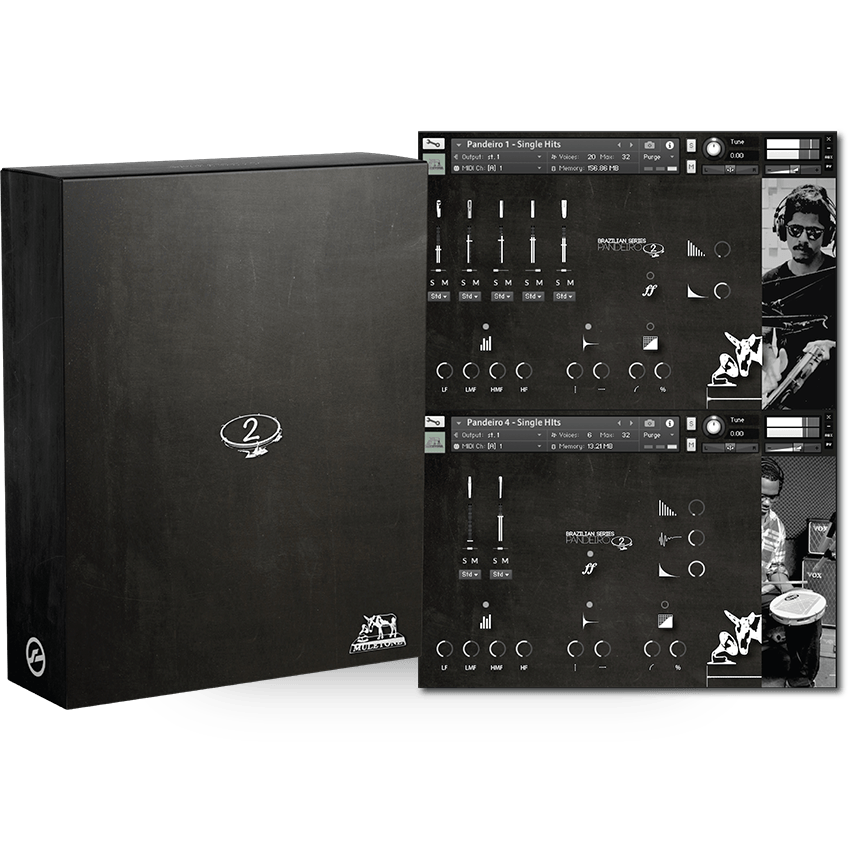 Muletone Audio - Pandeiro 2 Kontakt Instruments Software GUI Artwork