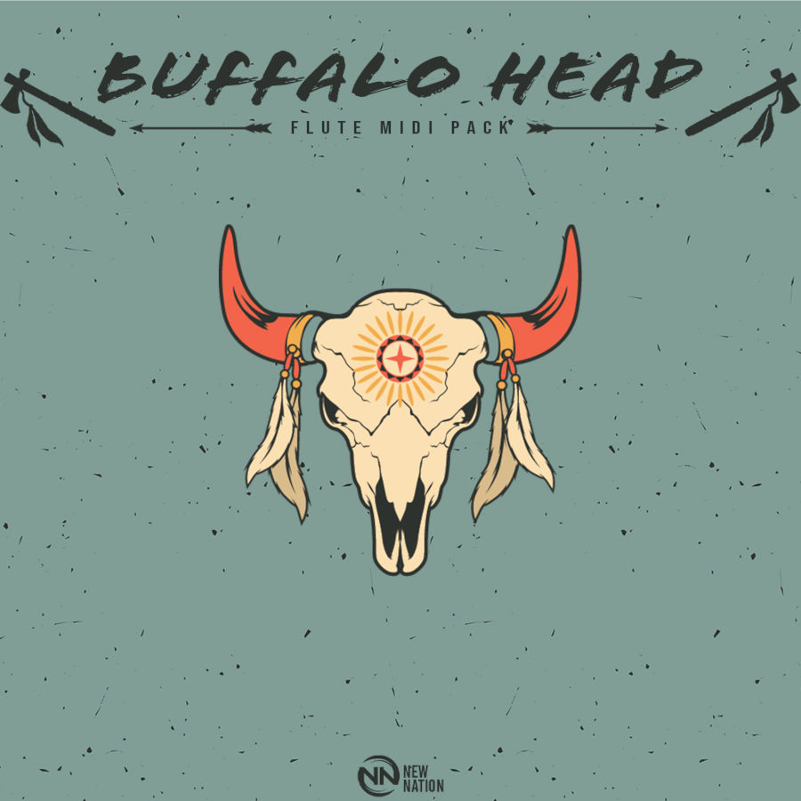 New Nation - Buffalo Head Flute Sample Packs Software GUI Artwork