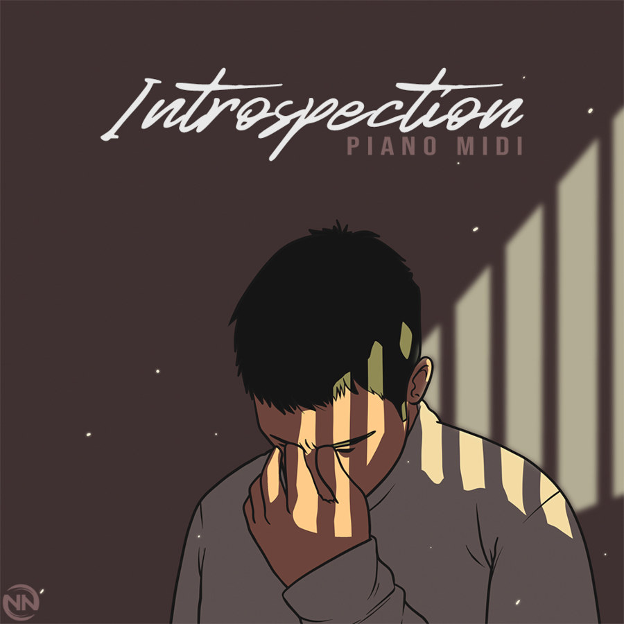 New Nation - Introspection Sample Packs Software GUI Artwork