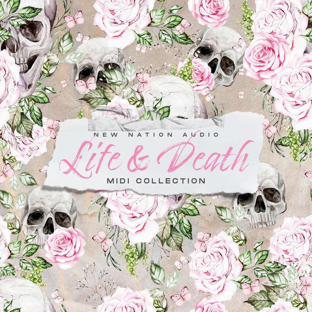 New Nation - Life & Death MIDI Collection Presets Software GUI Artwork