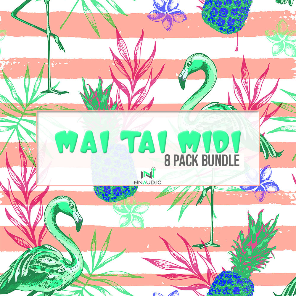 New Nation - Mai Tai MIDI Collection Presets Software GUI Artwork