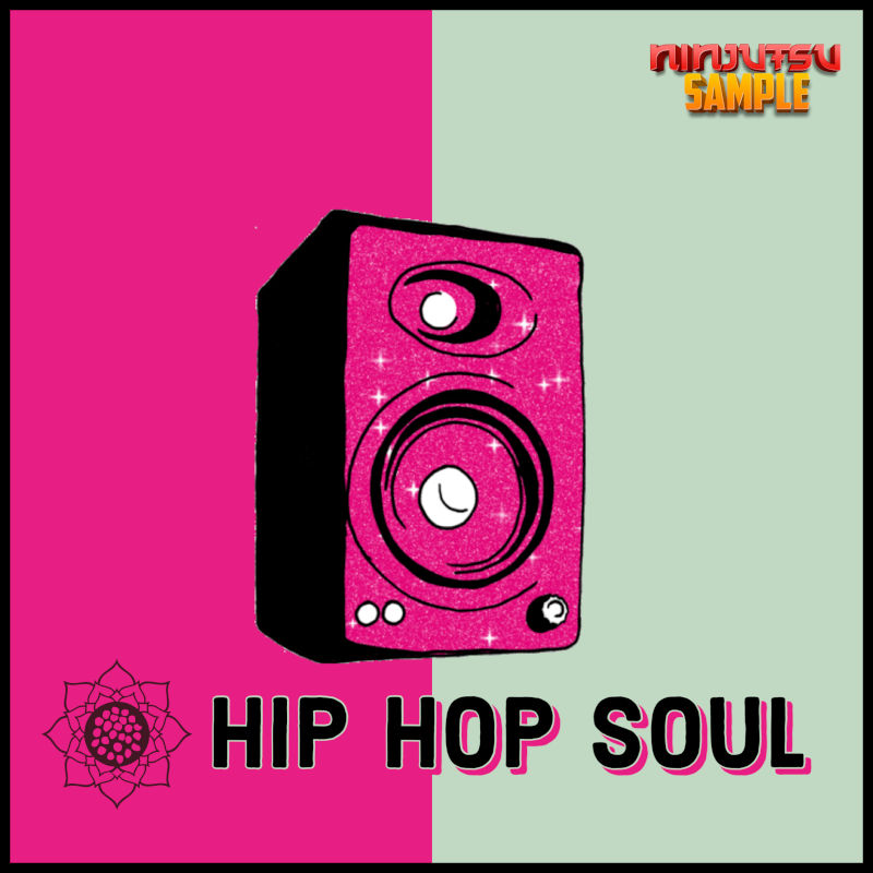 Ninjutsu Samples - Hip Hop Soul Sample Packs Software GUI Artwork
