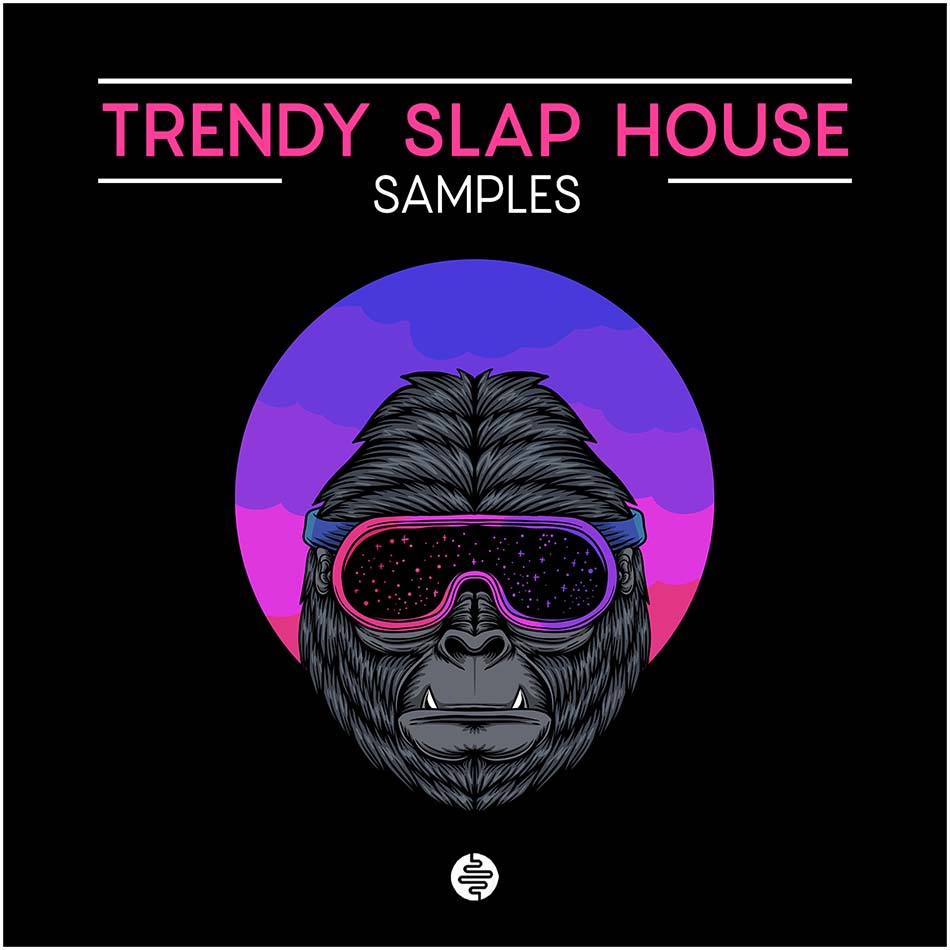 OST Audio - Trendy Slap House Sample Packs Software GUI Artwork