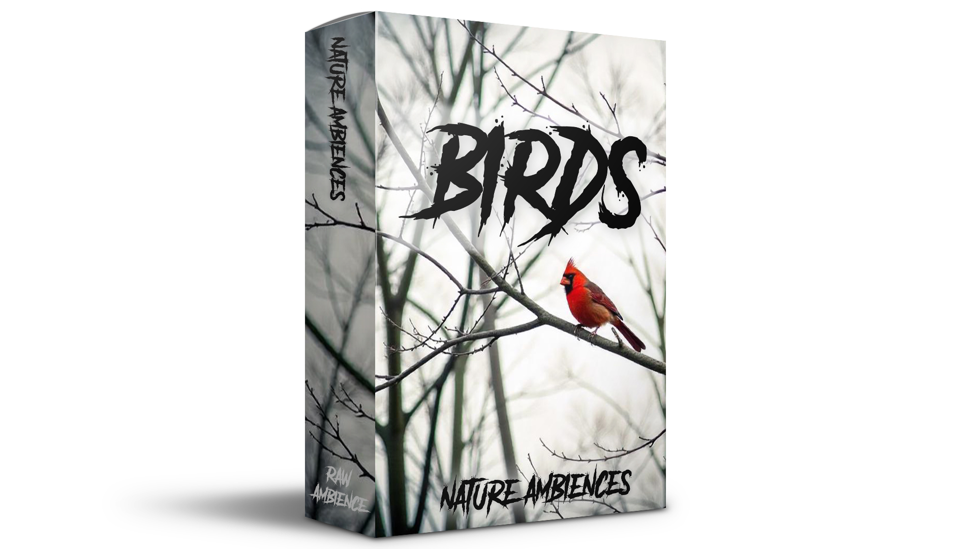 Raw Ambience - Birds – Nature Ambiences Sample Packs Software GUI Artwork