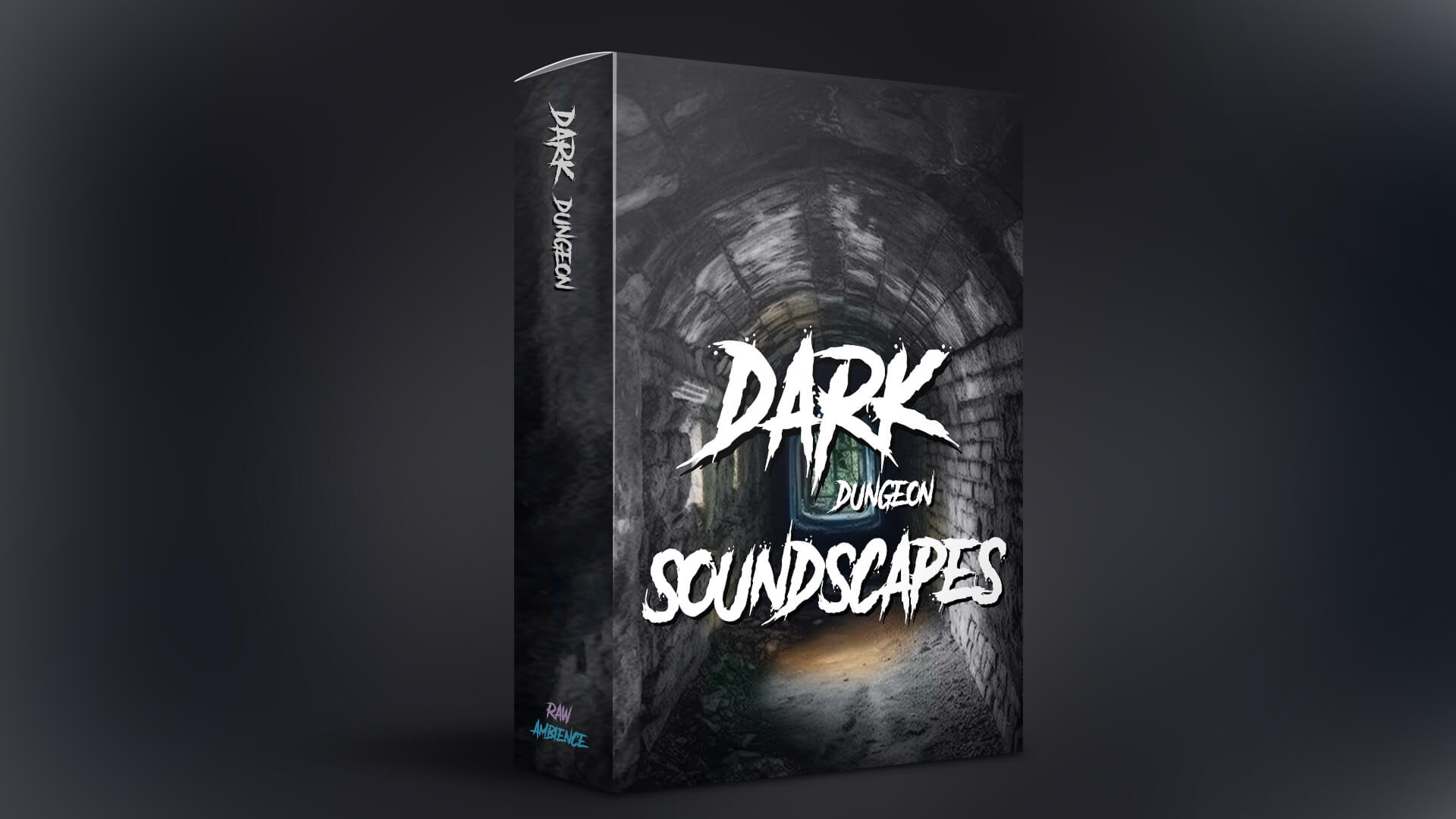 Raw Ambience - Dark Dungeon Soundscapes Sample Packs Software GUI Artwork